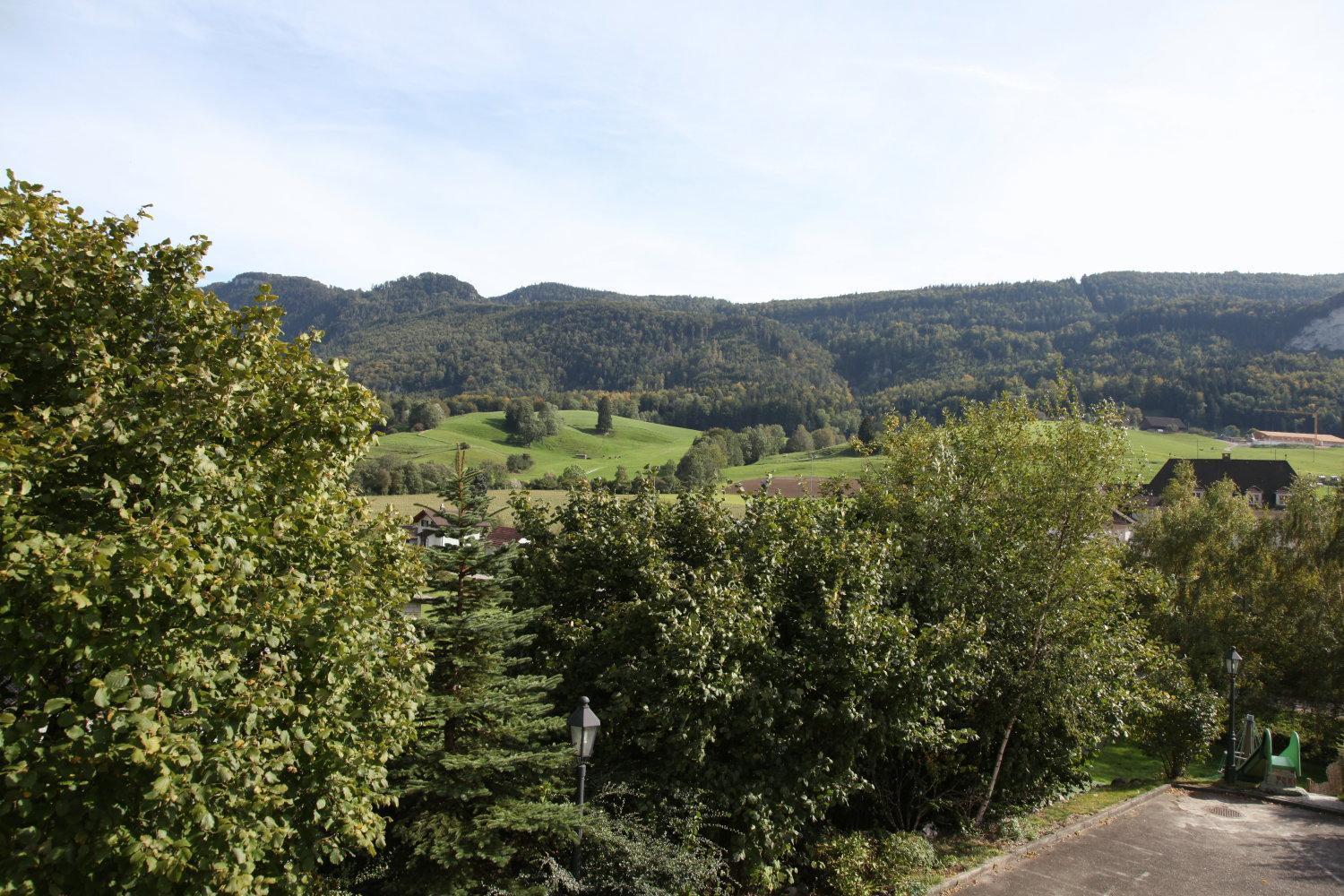 Hotel Gasthof Kreuz Welschenrohr Exterior foto